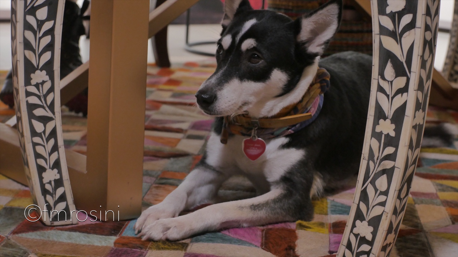 IMG_8888_eZy Watermark_09-04-2019_03-47-15PM