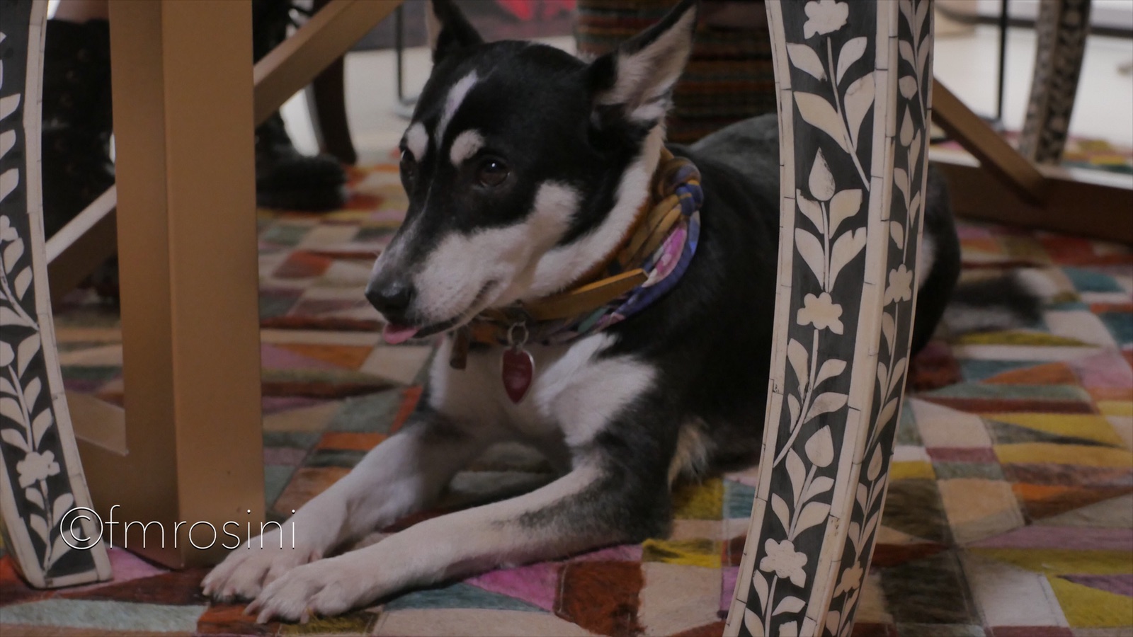 IMG_8889_eZy Watermark_09-04-2019_03-47-16PM